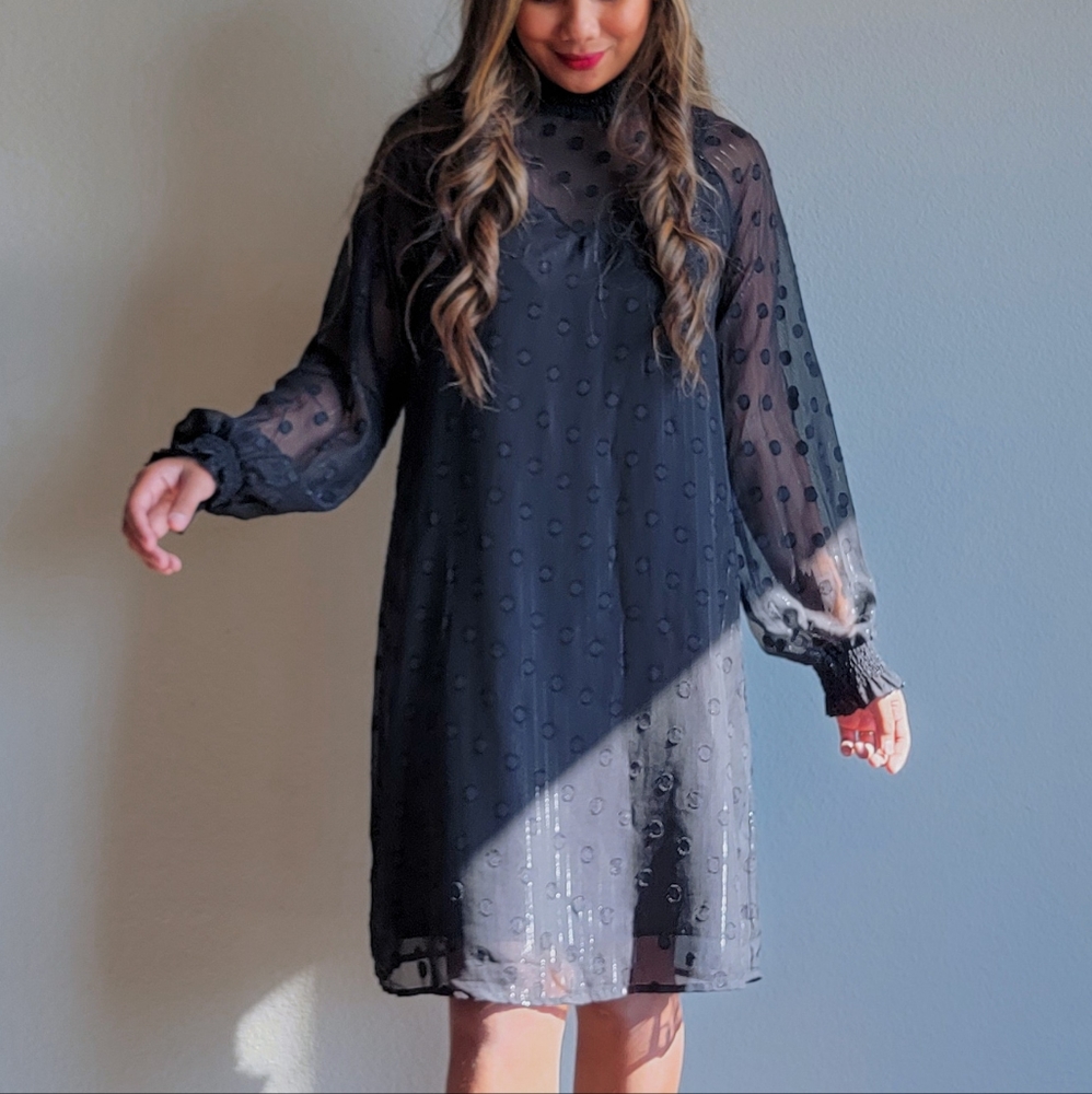The Korner Polkadot Sheer Sleeves Dress